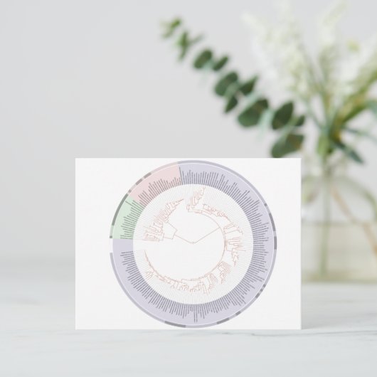 Briefkaart Een fylogenetische boom van het leven (Staand voorkant)