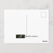 Briefkaart. Een roos met een andere naam Briefkaart (Achterkant)