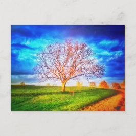 Briefkaart eikenboom