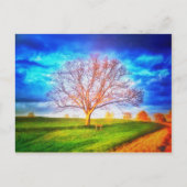 Briefkaart eikenboom (Voorkant)