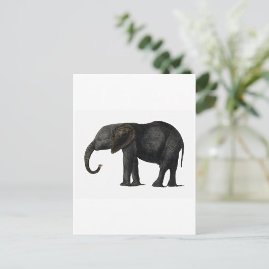 BRIEFKAART ELEPHANT (Staand voorkant)