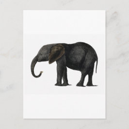 BRIEFKAART ELEPHANT