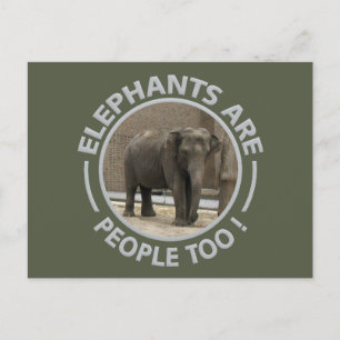 BRIEFKAART ELEPHANTS