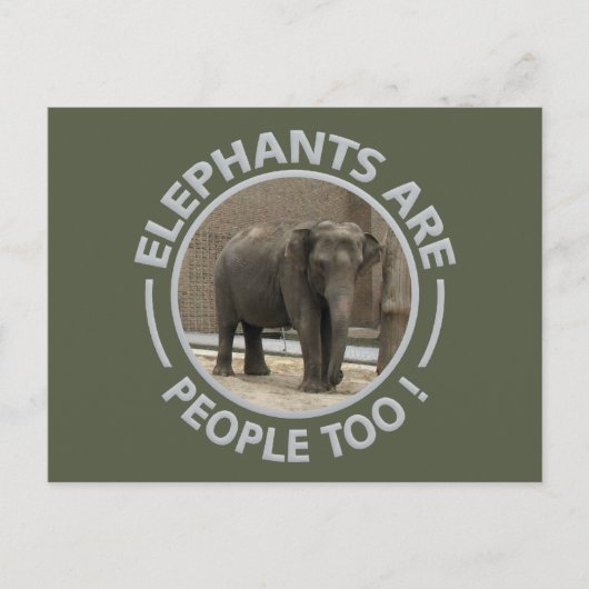BRIEFKAART ELEPHANTS (Voorkant)