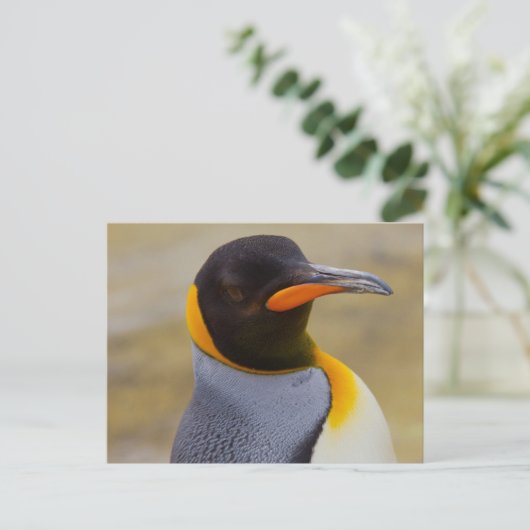 Briefkaart Emperor Penguin (Staand voorkant)