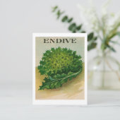 briefkaart  endive zaadpap (Staand voorkant)