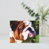 Briefkaart Engelse Bulldog (Staand voorkant)