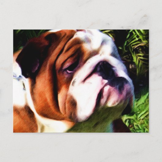 Briefkaart Engelse Bulldog (Voorkant)