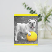 Briefkaart Engelse Bulldog Puppy Dog (Staand voorkant)