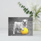 Briefkaart Engelse Bulldog Puppy Dog (Staand voorkant)