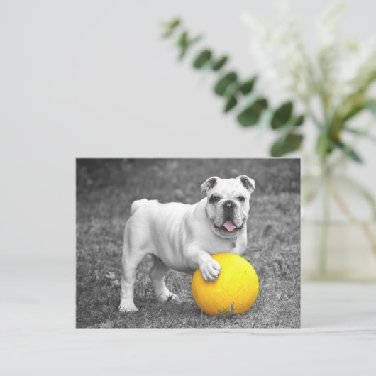Briefkaart Engelse Bulldog Puppy Dog (Staand voorkant)