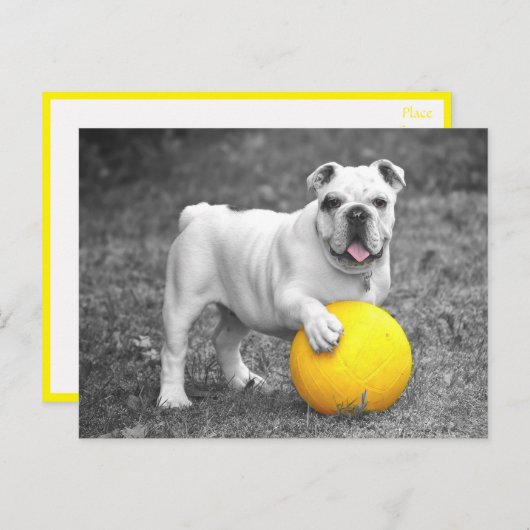 Briefkaart Engelse Bulldog Puppy Dog (Voorkant / Achterkant)