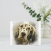Briefkaart Engelse Setter (Staand voorkant)