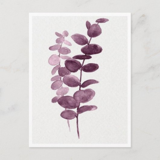 Briefkaart - Eucalyptus Aquarellen (Voorkant)