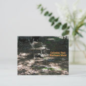 Briefkaart Fairy House Garden op Monhegan (Staand voorkant)