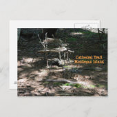 Briefkaart Fairy House Garden op Monhegan (Voorkant / Achterkant)