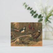 Briefkaart fazanten (Staand voorkant)