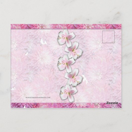 Briefkaart - Feliz Día de las Madres (Achterkant)