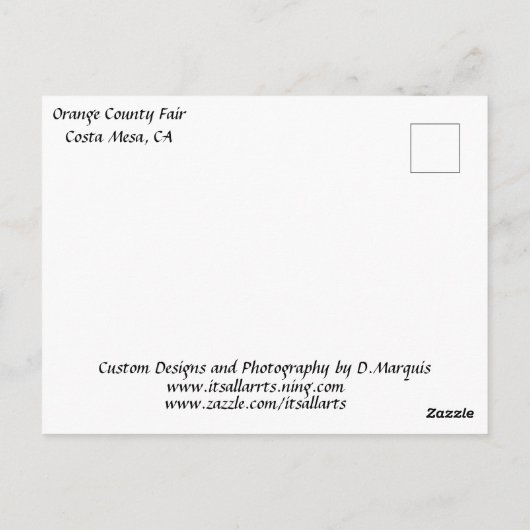 Briefkaart FERRIS WHEEL (Achterkant)