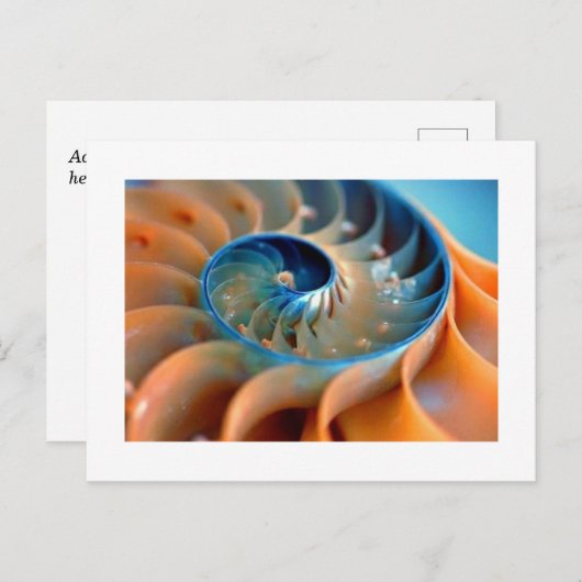 Briefkaart - Fibonacci Shells (Voorkant / Achterkant)