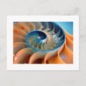 Briefkaart - Fibonacci Shells (Voorkant)