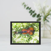Briefkaart Fiddle en Ivy Violin-kaart (Staand voorkant)