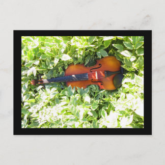 Briefkaart Fiddle en Ivy Violin-kaart