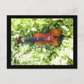 Briefkaart Fiddle en Ivy Violin-kaart (Voorkant)