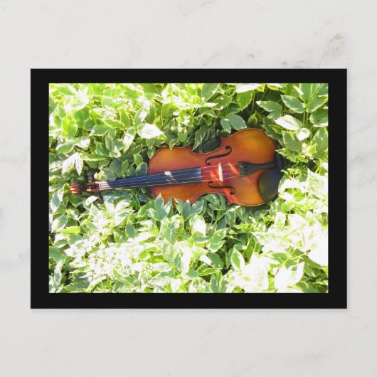 Briefkaart Fiddle en Ivy Violin-kaart (Voorkant)
