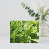 Briefkaart Fishtail Fern (Staand voorkant)
