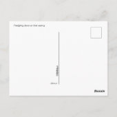 Briefkaart - Fledgling Dove (Achterkant)