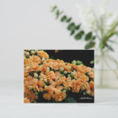 Briefkaart Floral Oranje Begonias (Staand voorkant)