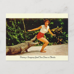  Briefkaart Florida Alligator