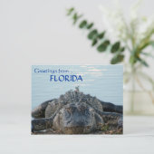 Briefkaart Florida Alligator (Staand voorkant)