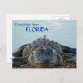 Briefkaart Florida Alligator (Voorkant / Achterkant)