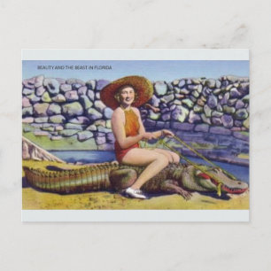  Briefkaart Florida Alligator