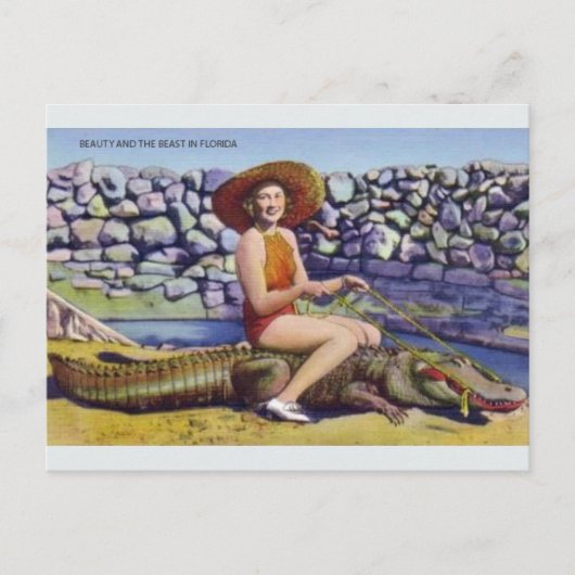  Briefkaart Florida Alligator (Voorkant)