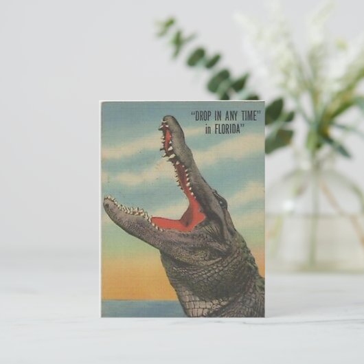  BRIEFKAART FLORIDA ALLIGATOR (Staand voorkant)