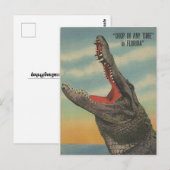  BRIEFKAART FLORIDA ALLIGATOR (Voorkant / Achterkant)