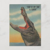  BRIEFKAART FLORIDA ALLIGATOR (Voorkant)