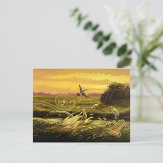 Briefkaart Florida Alligators (Staand voorkant)