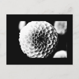 Briefkaart-Flowers-51 Briefkaart