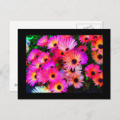 Briefkaart-Flowers-68 Briefkaart (Voorkant / Achterkant)