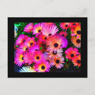 Briefkaart-Flowers-68 Briefkaart