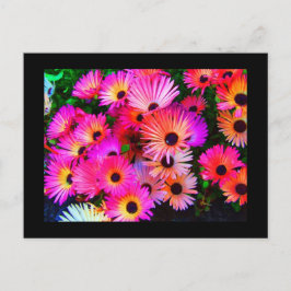 Briefkaart-Flowers-68 Briefkaart