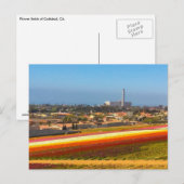Briefkaart Flowers Fields Carlsbad, CA (Voorkant / Achterkant)