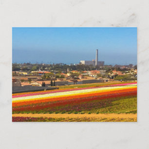 Briefkaart Flowers Fields Carlsbad, CA