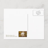 briefkaart, "FLUFFY WHITE MILKWEED" Briefkaart (Achterkant)