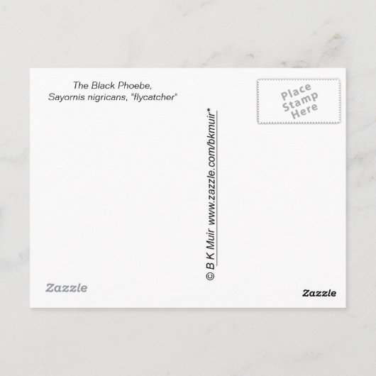 Briefkaart - Flycatcher (Achterkant)