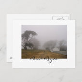 Briefkaart Foggy Point Reyes (Voorkant / Achterkant)